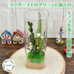 プリザーブドフラワー トリル 春日部市 シュガーパイン