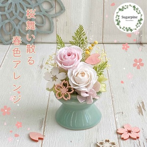 プリザーブドフラワー 舞桜(まお) 春日部市 シュガーパイン