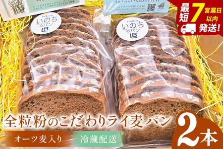 �S�����̂�����胉�C���p���E�I�[�c������i2�{�j�y��ʌ��@�t�����@�p���@�V�R�y��  ����z�iDA009�j