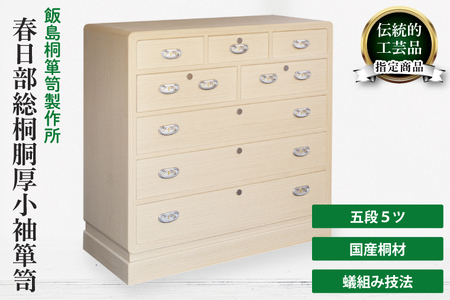 t˓\yiܒi5cjyʌ@ts@`H|@[@Ƌ@˂񂷁@^XziAQ017j