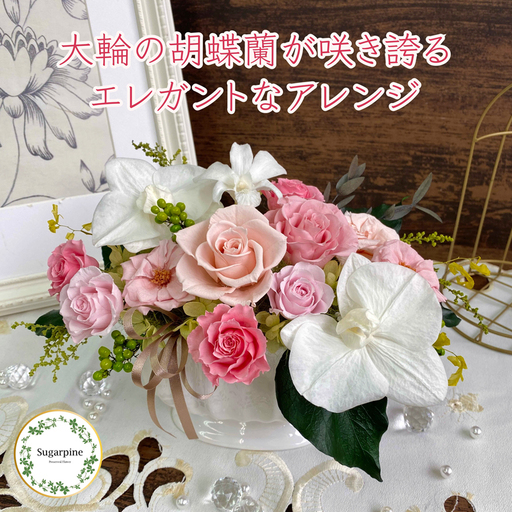 シュガーパイン プリザーブドフラワーアレンジ（ルクール/ピンク）【埼玉県 春日部市 洋蘭 ギフト 記念品 お祝い 長期鑑賞】（AJ073-2）