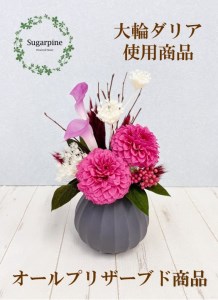 プリザーブドフラワー[グレイス/ストロベリー]春日部市 シュガーパイン