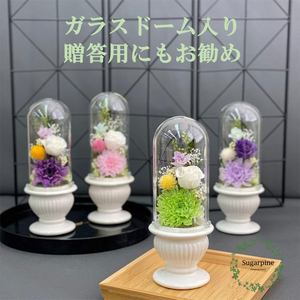 プリザーブドフラワー 和花 緑 春日部市 シュガーパイン