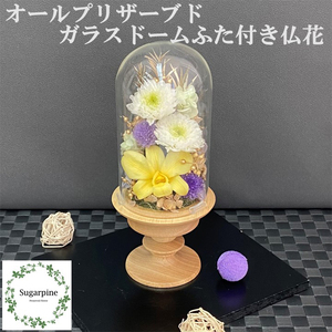 プリザーブドフラワー[清華/うす茶]春日部市 シュガーパイン