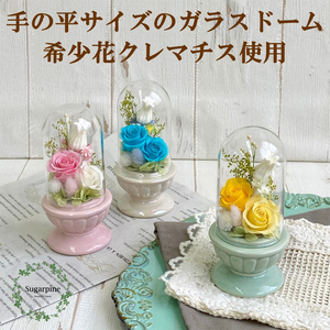 プリザーブドフラワー 美羽 イエロー 春日部市 シュガーパイン