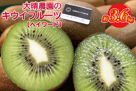 [先行予約][ヘイワード約3.6kg]贈答用大箱大晴農園のキウイフルーツ(BY004-2)