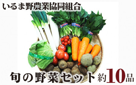 旬の野菜セット 10品程度 | 野菜詰め合わせ 野菜詰め合わせ 野菜詰め合わせ 野菜詰め合わせ 野菜詰め合わせ