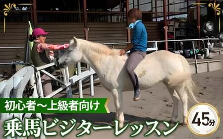 乗馬 ビジター レッスン チケット 45分×3回まで | 乗馬体験 乗馬体験 乗馬体験 乗馬体験 乗馬体験