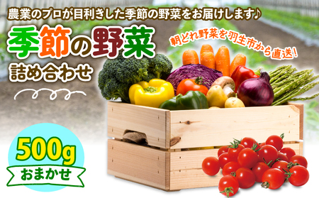 季節 野菜 詰め合わせ 500g 果物 産地直送 朝どれ 詰め合わせ とれたて 濃厚 ごほうびとまと 株式会社風の子ファーム 埼玉県 羽生市 ( 野菜 セット セット フルｰツトマト フルｰツトマト ほうれんそう ほうれんそう 白菜 白菜 キャベツ キャベツ ブロッコリｰ ブロッコリｰ そら豆 そら豆 ヤングコｰン ヤングコｰン とうもろこし とうもろこし 唐辛子 唐辛子 パプリカ パプリカ 水 ナス ナス オクラ オクラ キュウリ キュウリ カリフロｰレ カリフロｰレ )