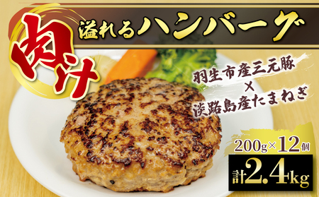 ハンバーグ 2.4kg 牛肉 豚肉 合挽き 冷凍 小分け 真空 個包装 大容量 大きめ 肉汁 たっぷり 保存料 不使用 国産 無添加 淡路島 玉ねぎ ビーフ ポーク 牛 豚 肉 合いびき肉 挽肉 お弁当 おかず 惣菜 晩ごはん おつまみ お取り寄せ ごはんのお供 贅沢 ギフト お中元 お歳暮 贈り物 贈答