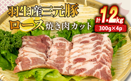 [X Ă Jbg 1.2kg ( 300g × 4P j Y O Ⓚ ^   Ղ e 傫 ؂ ؓ  u^ |[N W[V[ ٓ  y ӂ͂ ґ Mtg 