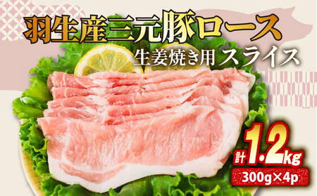 [X IĂ 1.2kg ( 300g ×4P j Y O Ⓚ ^   Ղ e 傫 ؂ ؓ  u^ |[N W[V[ ٓ  y ӂ͂ ґ Mtg  