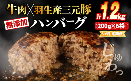 定期便 3回 ハンバーグ 1.2kg 無添加ハンバーグ ハンバーグ ハンバーグ ハンバーグ ハンバーグ ハンバーグ