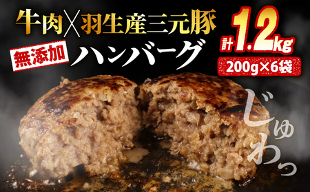 冷凍 ハンバーグ 1.2kg 無添加ハンバーグ ハンバーグ ハンバーグ ハンバーグ ハンバーグ ハンバーグ