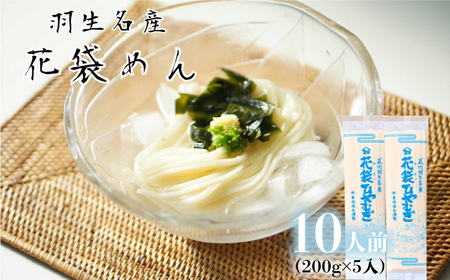 ひやむぎ 10人前 ( 200g × 5入 ) 常温 明治六年創業 武州羽生名産 花袋ひやむぎ 冷や麦 麺 そば 家庭用 大容量 中元 贈答 贈り物 ギフト お取り寄せ 羽生 名産