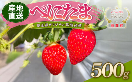 [予約]希少いちご べにたま 500g イチゴ 苺 ロコファーム 埼玉県 いちご