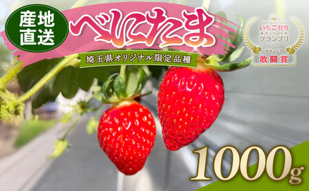 y\z ׂɂ 1000g    ׂɂ ʌ Hs