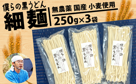 yזˁzǂ 250g 3 750g  _  Y  ǂ  l̍ǂ l̏W ʌ Hs