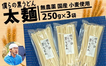 yˁzǂ 250g 3 750g  _  Y  ǂ  l̍ǂ l̏W ʌ Hs