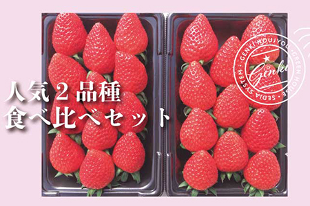 [ 予約受付 ] いちご 食べ比べ 約560g ( 約280g × 2P ) かおり野 よつぼし 紅ほっぺ 恋みのり 食べ比べ 2種類 いちご 苺 ストロベリー 産地直送 ご当地 果物 くだもの フルーツ デザート 食品 冷蔵 げんき農場 埼玉県 羽生市