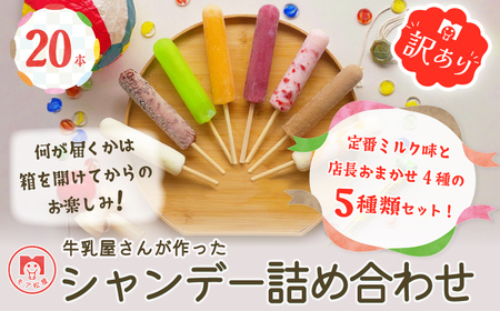 訳あり アイスキャンディー おまかせ5種 20本 創業71年 モア松屋 保存料不使用 卵不使用