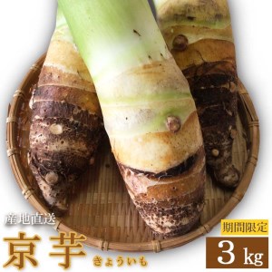 産地直送 京芋(きょういも) 4〜6個 3kg [数量・期間限定]