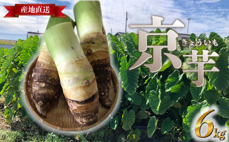 ̂  6kg ʌ Ԍ    ⡈  Yn ʌ Hs