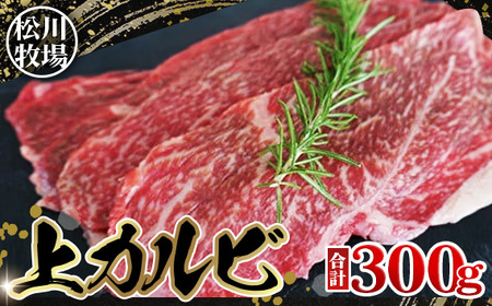 No.033 q̂苍 Jr 300g@Y