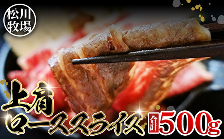 No.131 q̂苍 ㌨[XXCXi500gj@Y