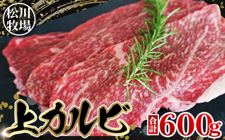 松川牧場のこだわり牛肉 上カルビ600g(おまかせ2部位)