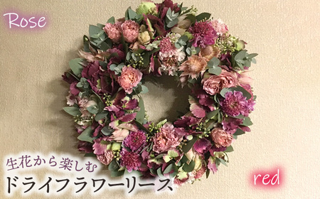 No.478-01 生花から楽しむドライフラワーリース[バラ][レッド系]