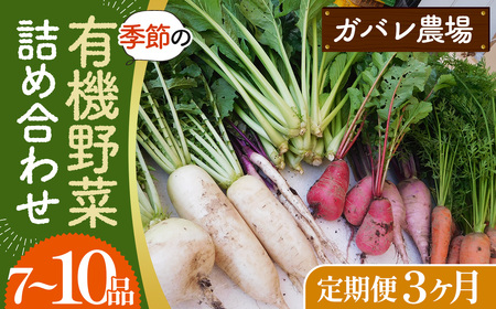 No.527 【有機野菜の定期便3ヶ月】ガバレ農場の季節の有機野菜詰め合わせセット