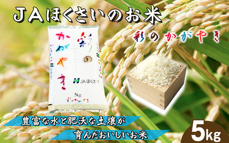 sYuʂ̂₫v5kg ^ ߘa7NY V 2025NY    5L  uh  ς Â ʌ No.568