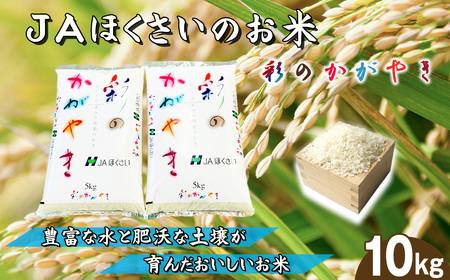 sYuʂ̂₫v5kg×2i10kgj ^ ߘa7NY V 2025NY    10L  uh  ς Â ʌ No.571