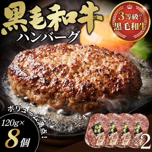 黒毛和牛ハンバーグ120g×8個セット No.603