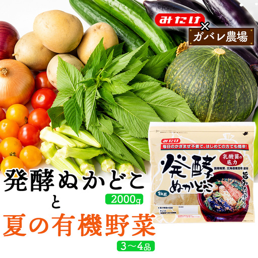 [コラボC]発酵ぬかどこ1kg×2&夏の有機野菜3〜4品 No.618