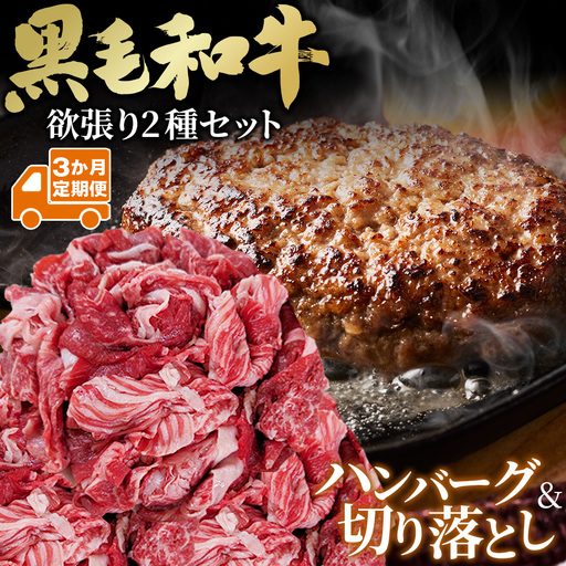 [3か月定期便]黒毛和牛欲張りセット(切り落とし250g・ハンバーグ 120g×8個) No.634