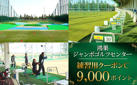 W{StZ^[@KpN[|C@ICJ[hɃ`[WĎg9000|Cg@300[hE88ŐȂ̉ӂK No.184