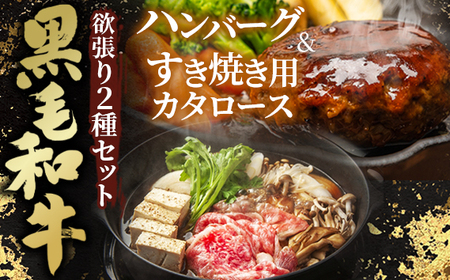 No.432 јa~2ZbgmĂpJ^[Xno[On