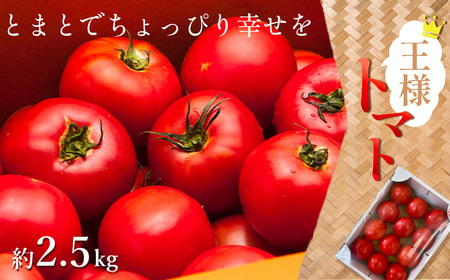 lg}g@2.5kg@y11218-0713z