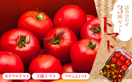 トマト詰め合わせ3点セット [11218-0714]
