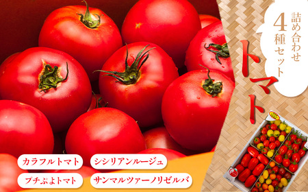 トマト詰め合わせ4点セット [11218-0715]