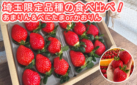 あまりん&べにたまorかおりん食べ比べ 16粒〜40粒セット [11218-0877]