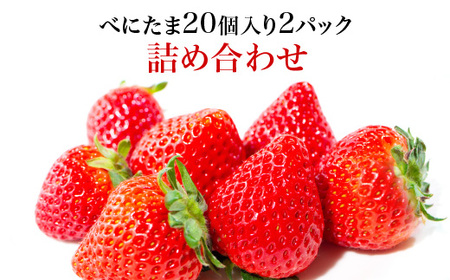 Angelina berrys farm 「べにたま」20粒入り2パック詰合せ [11218-0878]