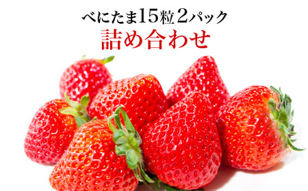 Angelina berrys farm 「べにたま」15粒入り2パック詰合せ　【11218-0879】
