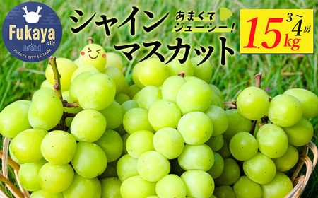 [先行予約][訳アリ]シャインマスカット 1.5kg [11218-0922]