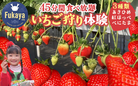 yʌz3ސHהב̌il1lj@iFЂ߁Egق؁Eׂɂ܁@`Ղ45Ԃy݂܂I`@y11218-0945z