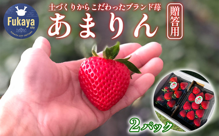 埼玉県産 贈答用 あまりん(2パック入り)[11218-0871] 木口農園