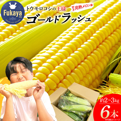 [深谷]とうもろこしの王様 ゴールドラッシュ 6本 2〜3kg [11218-1021]