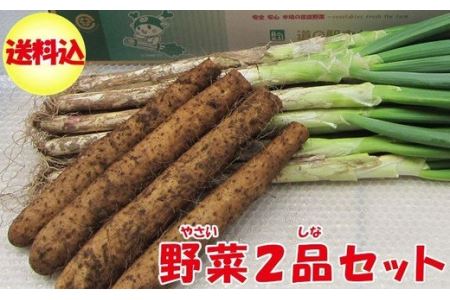 [先行受付]深谷ねぎ3kg・大和芋2kgセット(土付き) [11218-0243]